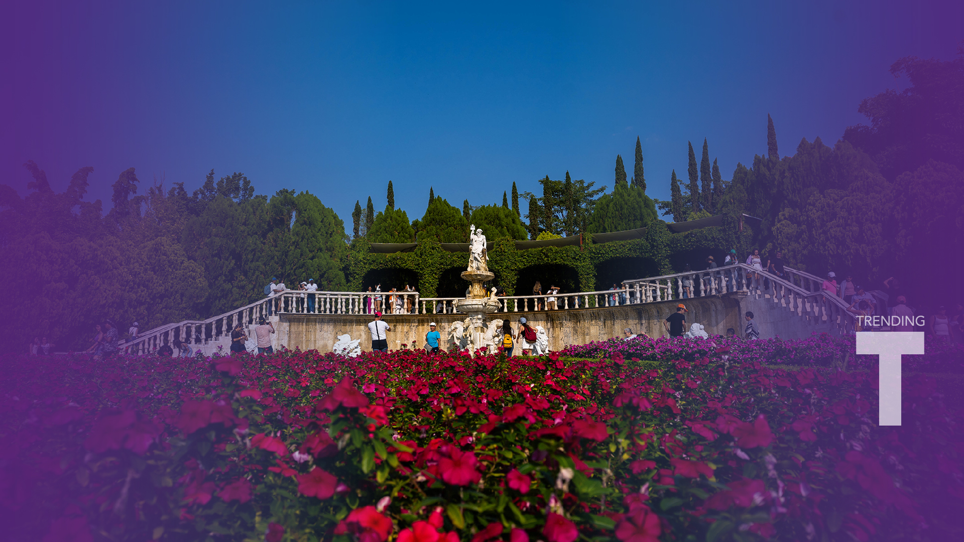 VAIVÉN Y LOS JARDINES DE MÉXICO